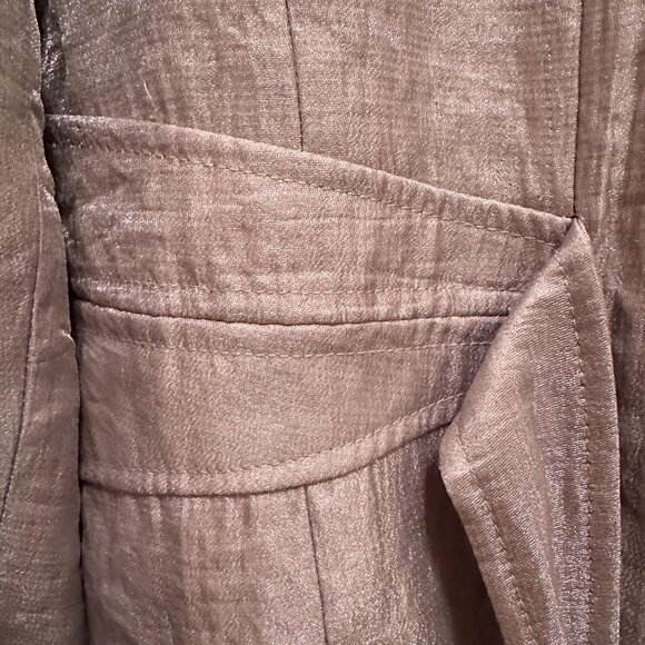 Light Gray Sheen Belted Jacket & Wide-Leg Pants Set - Picture 7 of 15